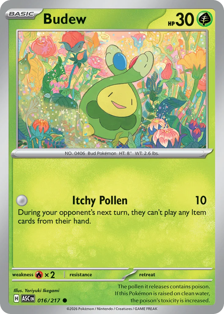 Budew Pokemon card from Ascended Heroes, card number 16