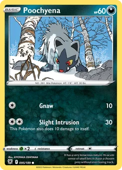 Poochyena Pokemon card from Astral Radiance, card number 95